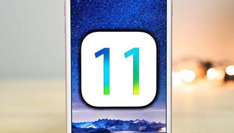 ios 旧版本,高速计划响应执行&amp;Notebook_v5.259