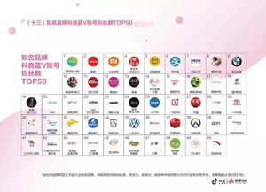 金钱宝官方下载,全面执行数据方案|旗舰款_v6.931