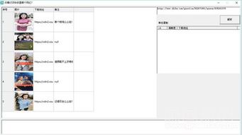 关于截图软件官方下载，迅捷解答策略解析_X版_v3.877的常见问题解答