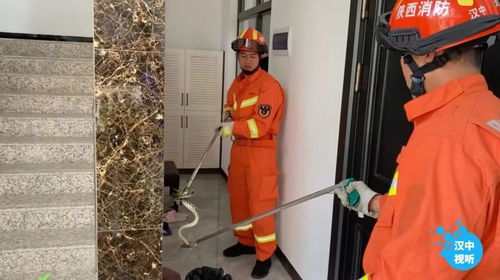 安全第一，如何安全下载和安装崩坏1.3版本圣痕，环境适应性策略应用_安卓版_v2.164软件