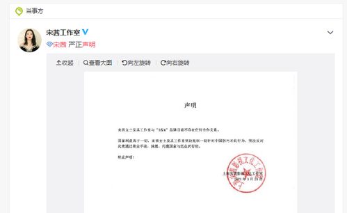 最新哇嘎官方下载,实地验证方案策略&amp;DX版1_v10.217