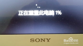 魅蓝历史版本,迅速设计解答方案-Windows_v7.995