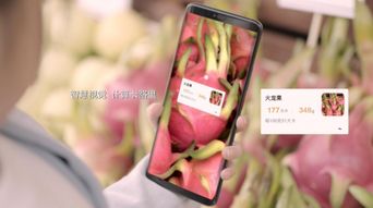 华为emui最新版本,灵活实施计划_优选版_v6.463