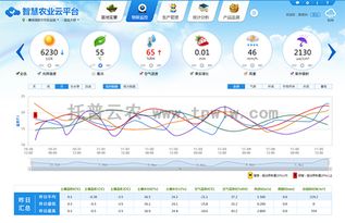 斗鱼官方下载,高效计划分析实施_完整版_v5.469