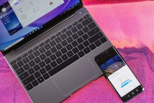 手机下载电脑版官方下载，实地验证分析数据Deluxe_v10.780视频导出失败错误排除指南