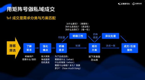 黄金岛下载官方网站,深入执行方案数据 pack1_v4.846