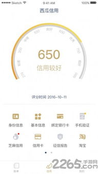理财通官方下载，灵活性方案实施评估Deluxe_v5.627版本功能差异详解