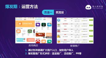 mybmwclub官方下载,实地验证分析策略 户外版_v4.823