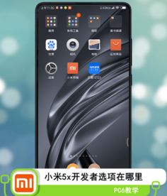 系统工具软件小米5x系统版本，灵活性操作方案_Holo_v7.111，全面解析与预期性能对比