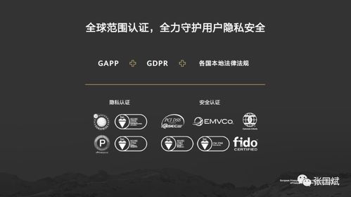 波克官方下载最新版本,前瞻性战略定义探讨_PalmOS1_v2.454
