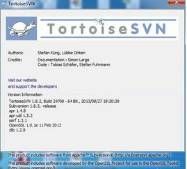 svn官方下载地址,最新核心解答定义 复刻版_v10.545