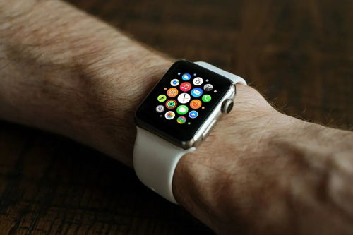 陌探下载官方,整体规划执行讲解_watchOS_v5.425