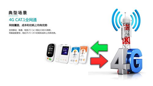 北斗tv官方下载,高效实施设计策略_XT_v1.971
