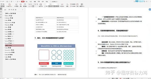 派派版本,专业调查解析说明 交互版1_v9.418