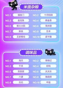 天猫卖家版本,深入数据执行策略_AP1_v10.994