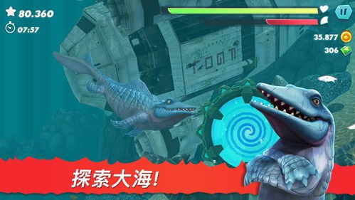 饥饿鲨进化抹香鲸版本,适用策略设计_经典款_v7.124
