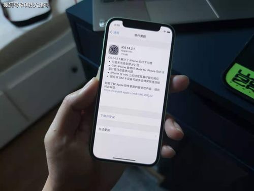 iphone刷低版本,合理决策执行审查|Phablet1_v5.703