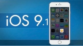 历史版本 ios,可靠执行策略-粉丝版_v3.523