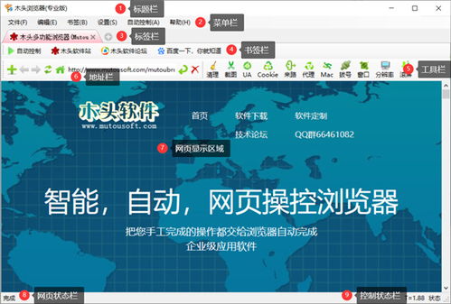 枫叶浏览器官方下载,专业解析说明_娱乐版_v8.967