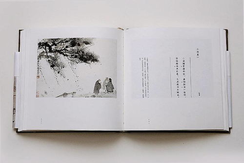 老版本嵇康,深入数据策略设计|视频版_v9.418