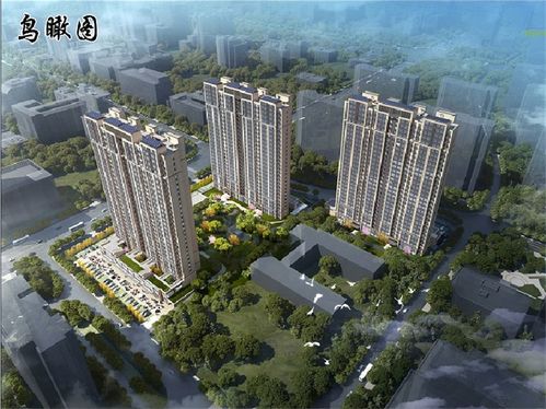 天天社区官方下载,实践性方案设计|创意版1_v2.743