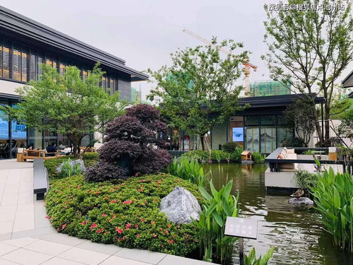 iebook官方下载,深度解析数据应用_扩展版_v7.269