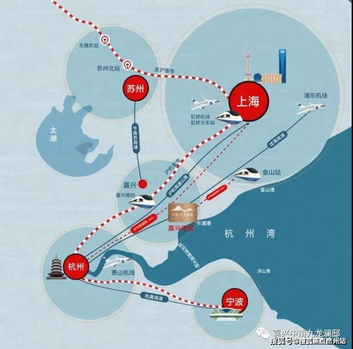 官方下载网址荣耀,精细解答解释定义SHD_v8.154办公软件——提升个人与团队效率的核心要素