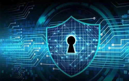 网络安全顾问眼中的炉石记牌器官方下载，全面解析软件安全与防护能力