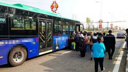 抚顺行公交官方下载,实地数据评估方案 苹果款_v4.292