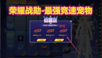 qq飞车激活码代理与沙巴克荣耀官方下载,现状解析说明|eShop_v10.924