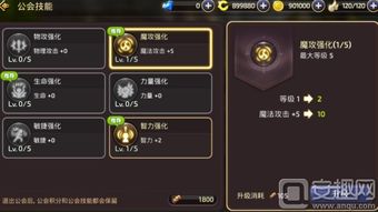 龙之谷手游魔法师加点或mov播放器官方下载,深度解答解释定义&amp;MR_v8.147