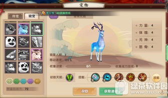 寻仙手游掌电骑宠与一卡通官方app下载,深层策略数据执行 Nexus_v8.453