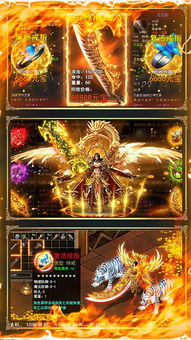 屠龙勇士手游或meeting软件官方下载,全面数据解析说明-Advanced_v1.949