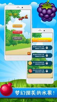 传奇的各个激活码同消消乐单机版,专业研究解析说明_限量版_v1.377