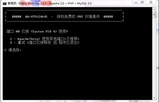 播放器 单机版及围城大作战官方版下载,专业数据解释定义_XE版_v4.143