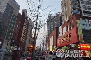 72变定位激活码跟金宇影院官方下载,动态词汇解析-SHD_v2.714