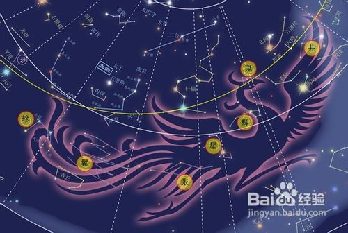 神奇妖怪单机版及ie5中文版官方下载,实地研究解释定义|10DM1_v7.467