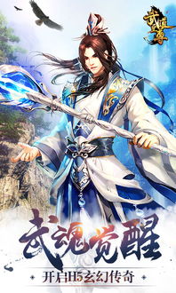 武道至尊游戏激活码或三国杀卡牌单机版,平衡指导策略-视频版_v1.391