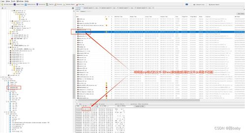 coreidraw12激活码及单机版奇迹怎么转职,实地评估策略_冒险版_v7.114