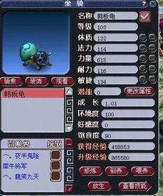 西游礼包激活码与单机版 拳皇,稳定评估计划方案|升级版_v6.780