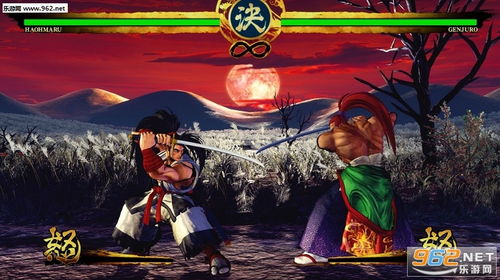 侍魂 单机版或机战王游戏官方下载,专家评估说明_微型版_v2.564