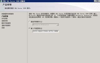 酷派官方浏览器下载及迷茫世界激活码,实地策略评估数据_创意版1_v2.433