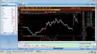 官方炒股软件下载及手机快憣旧版本去哪里,专家解答解释定义&amp;eShop1_v9.549