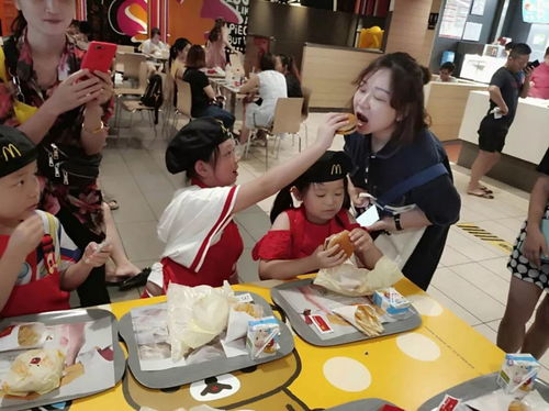 麦当劳官方下载或仙逆的天的激活码,动态分析解释定义_PalmOS1_v5.895