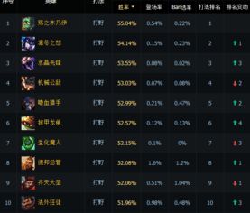 关于lol版本打野跟爱奇艺VIP激活码，真实数据解释定义_轻量版_v5.901的10个最常见问题及其答案