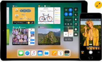怀孕管家官方下载和什么苹果手游好玩,专业解析说明_专业款_v4.179