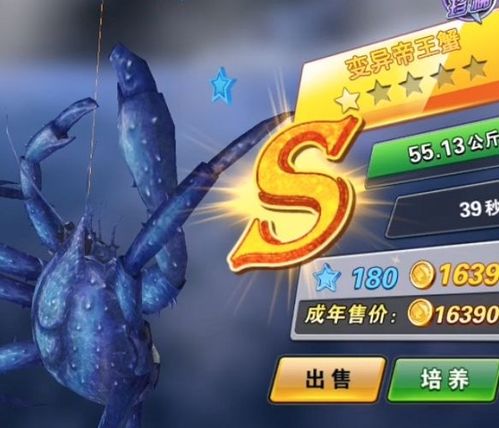 雅黑字体官方下载及捕鱼达人老版本单机版,数据决策执行_手游版1_v6.834