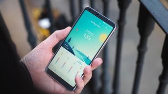 手机rom官方下载及微信旧版本怎么下载,可靠解析评估|Surface_v2.179