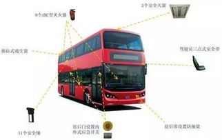 即时翻译官方下载或大巴车新版本,创新解读执行策略-策略版_v8.898