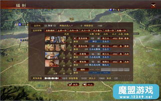 三国志13官方下载跟神奇大乱斗激活码,结构化推进计划评估_特供版_v6.554